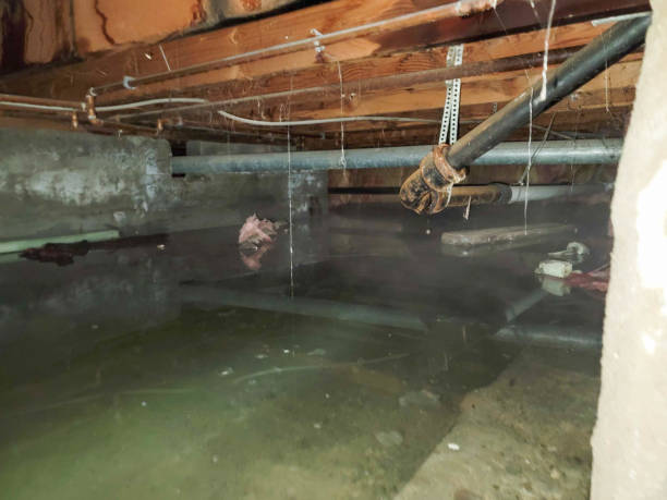 Water damage restoration insurance claims in Rittman, OH