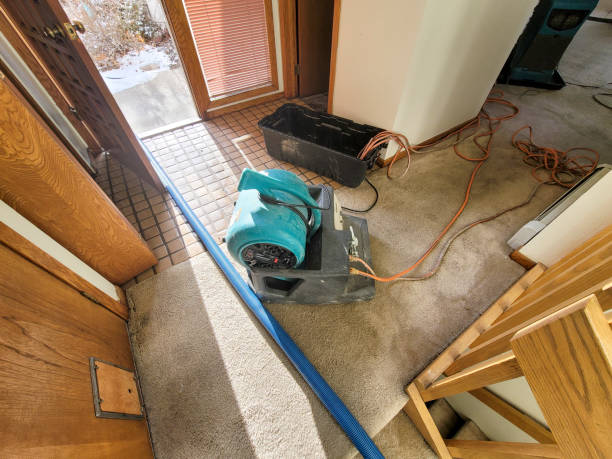 Best Local water damage restoration  in Rittman, OH